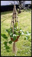 Macrame hanging basket - cool in the early eighties!