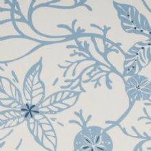 Coral oilcloth in marine