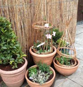 Planted up with clematis,  geraniums and other (unknown but pretty with white flowers)