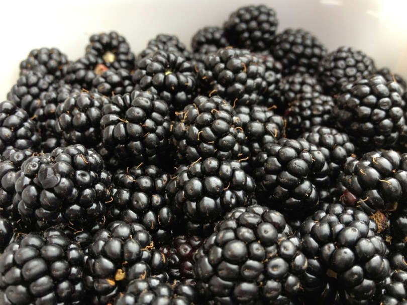 Blackberry Bounty