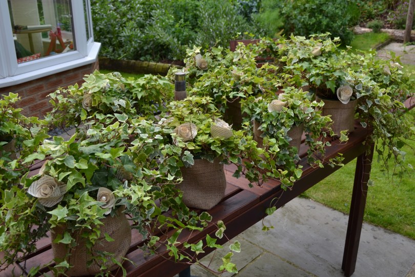 Preparation in the garden