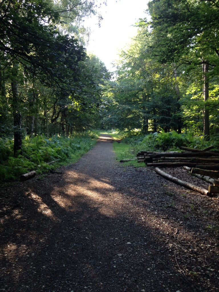 Cycling around Newmillerdam
