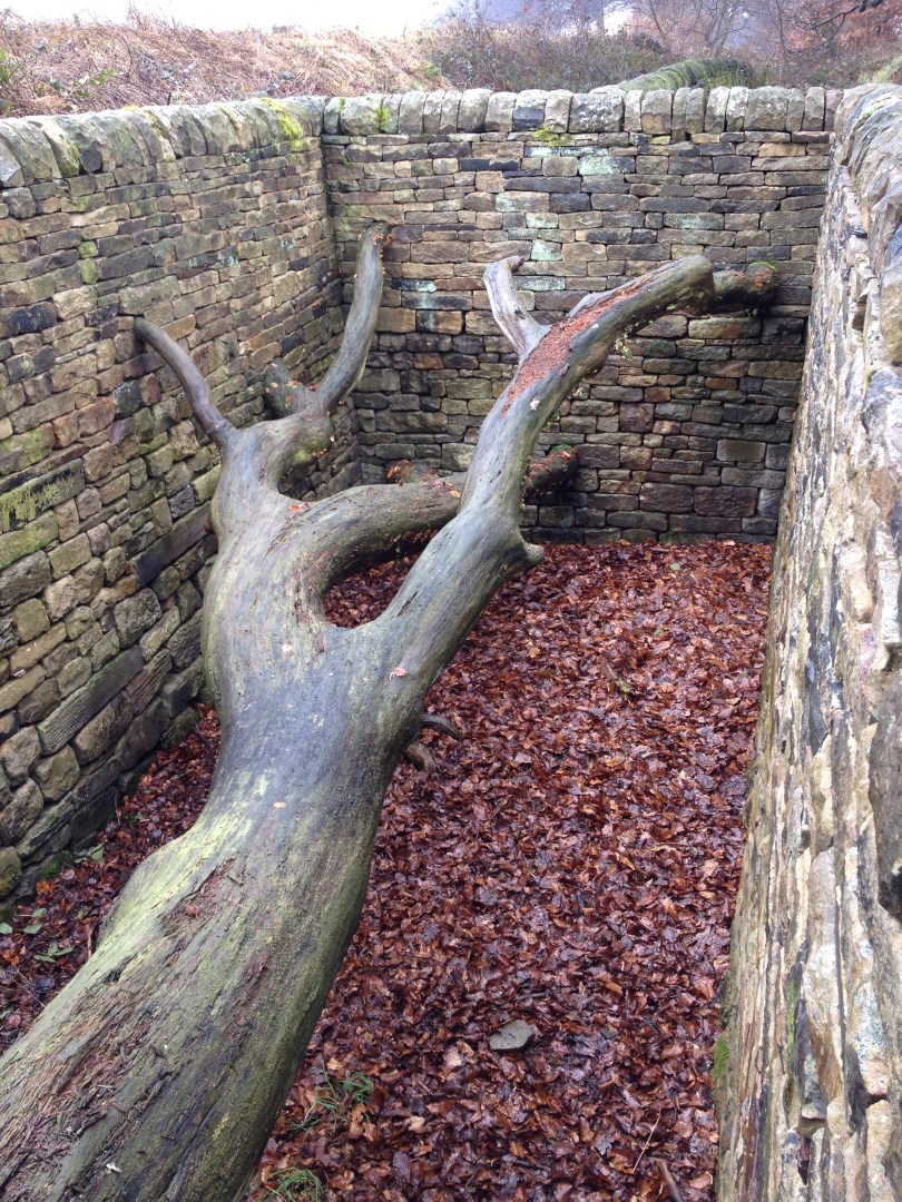 David Nash at the YSP